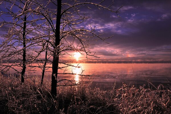 Coucher de soleil dans la forêt glacée près du lac