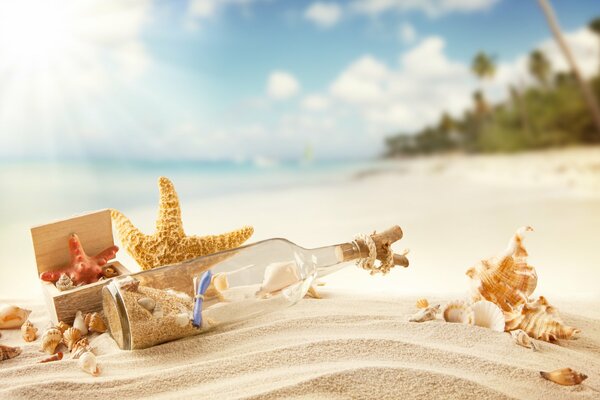 Botella con un mensaje en la arena blanca de la playa junto al mar. Estrella de mar. Conchas
