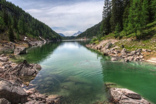 Fiume di montagna trasparente con incredibile natura boschi pendii e grandi pietre