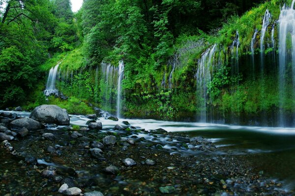 Cascadas de California. Mucha vegetación