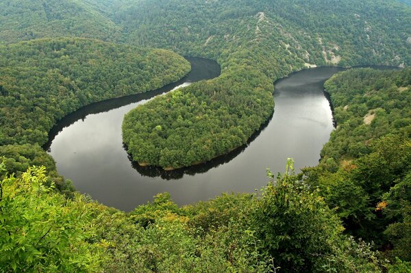 Bellissimo fiume nella foresta verde