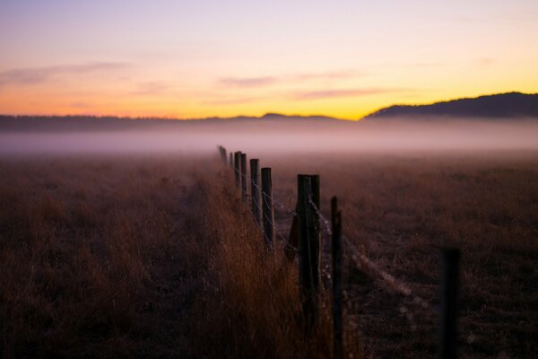 Golden sunset. Lilac sunset. Sunset at the ranch