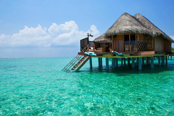 Paradise house on the shore of the lagoon