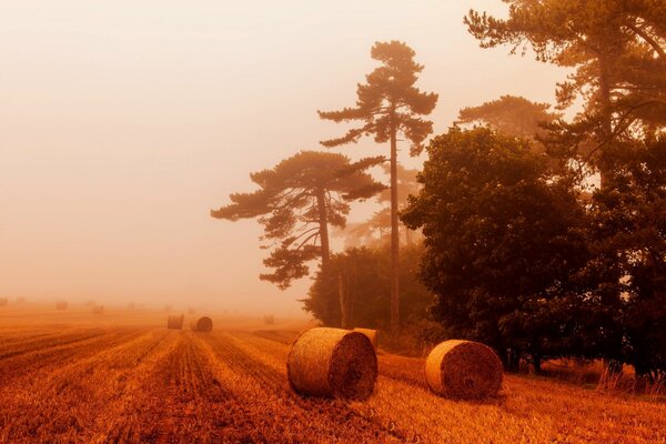 Meule de foin sur le champ dans le brouillard