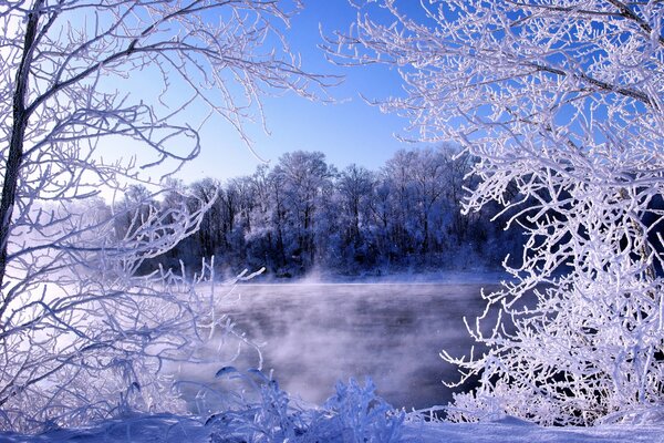 Frost am Fluss im frostigen Winter