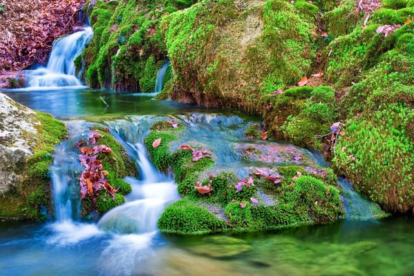 Río entre piedras y hojas