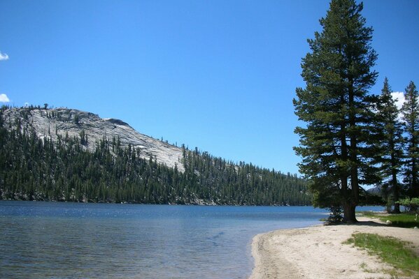 Nature of Yosemite National Park