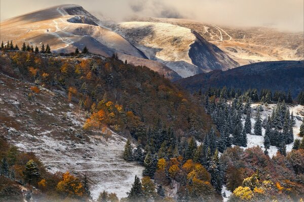 Herbstliche Landschaft. Farben des Herbstes