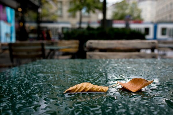 Dos hojas secas de otoño se encuentran en la mesa mojada por la lluvia de un café al aire libre