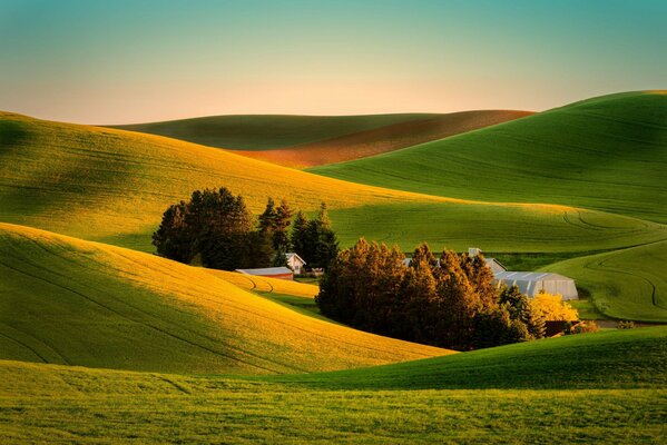 Vue magnifique sur la ferme au milieu des champs