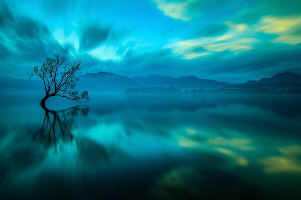 El resplandor de la naturaleza. Belleza infinita