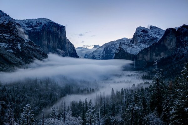 Valle de montaña con bosques envueltos en alfombras de niebla blanca