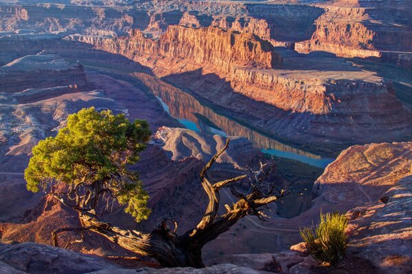 Berge Utah Natur des Berges zkak