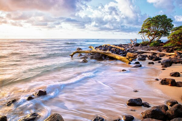 Plage de mer rocheuse