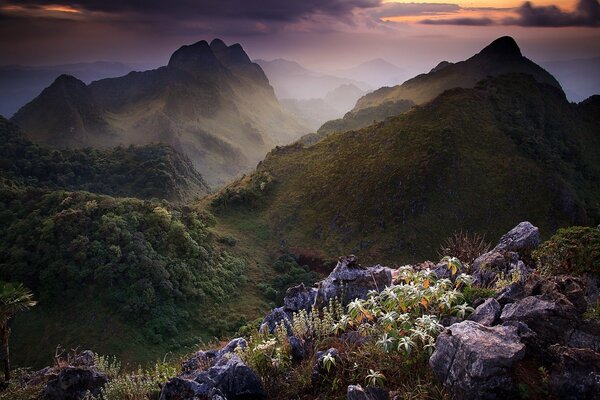 Vista sulla vegetazione e sulle montagne della Thailandia