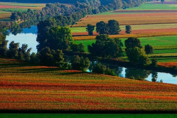 Campos de colores cerca del río