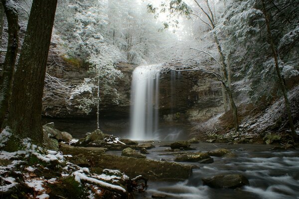 Winter forest with waterfall flood into river