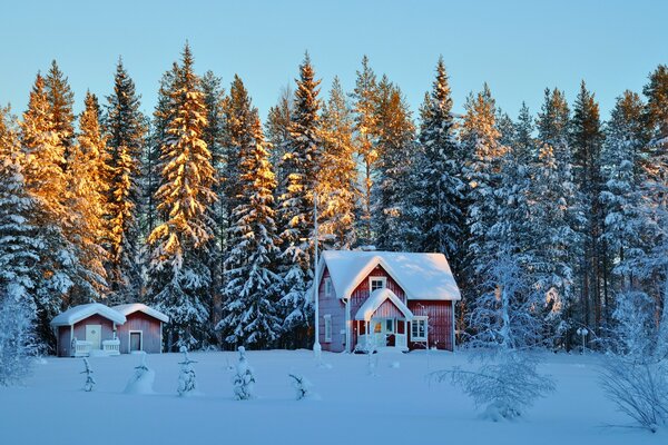 A quiet house on the edge of a winter forest