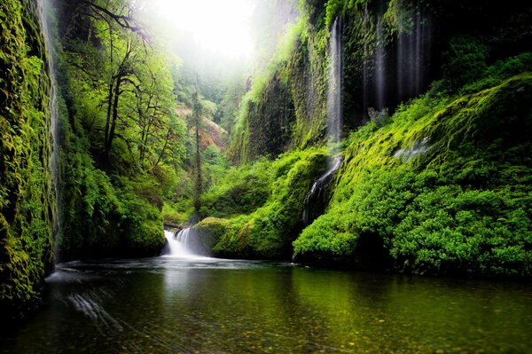 Spring nature. Waterfall in the USA