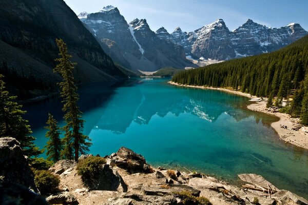 Riposo in riva al lago. montagne e foresta