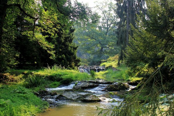 Waterfall and river in the forest with unique beauty