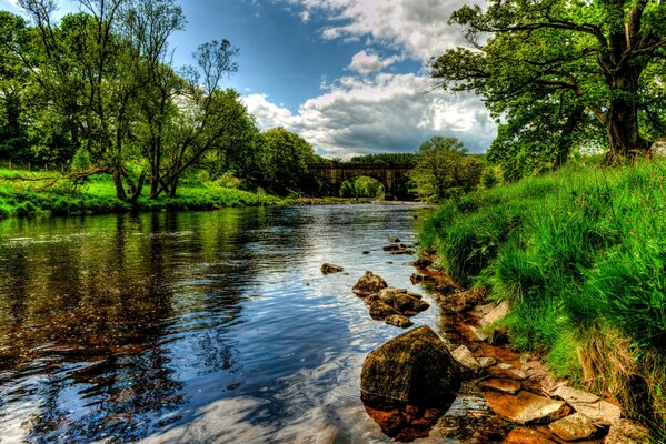 Picturesque landscape-river, green trees