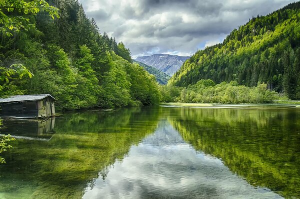 Lago di montagna tra alberi verdi