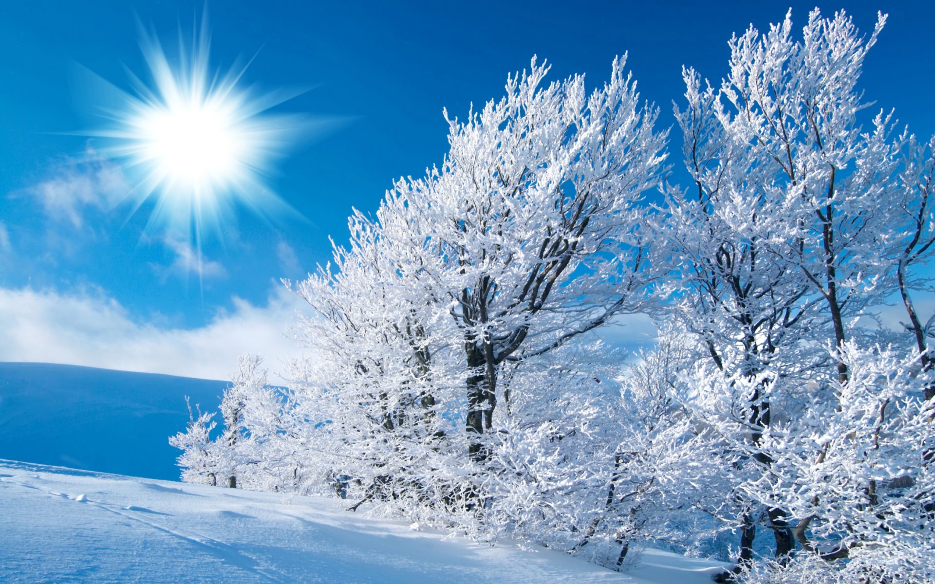 winter himmel sonne licht schnee bäume feld frost spuren frost