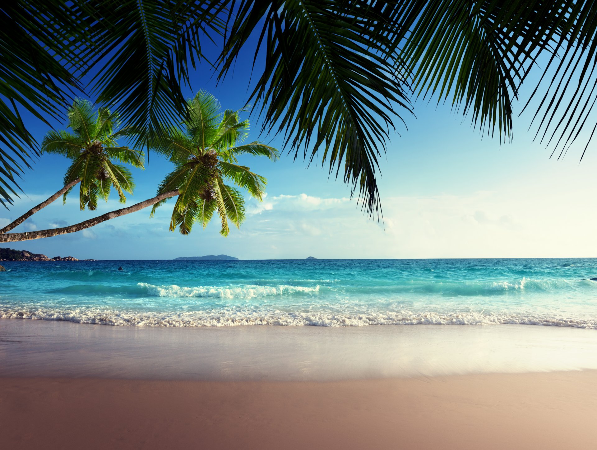 tropisch paradies sonne strand küste meer himmel blau smaragd ozean palm sommer sand urlaub tropen ufer palmen