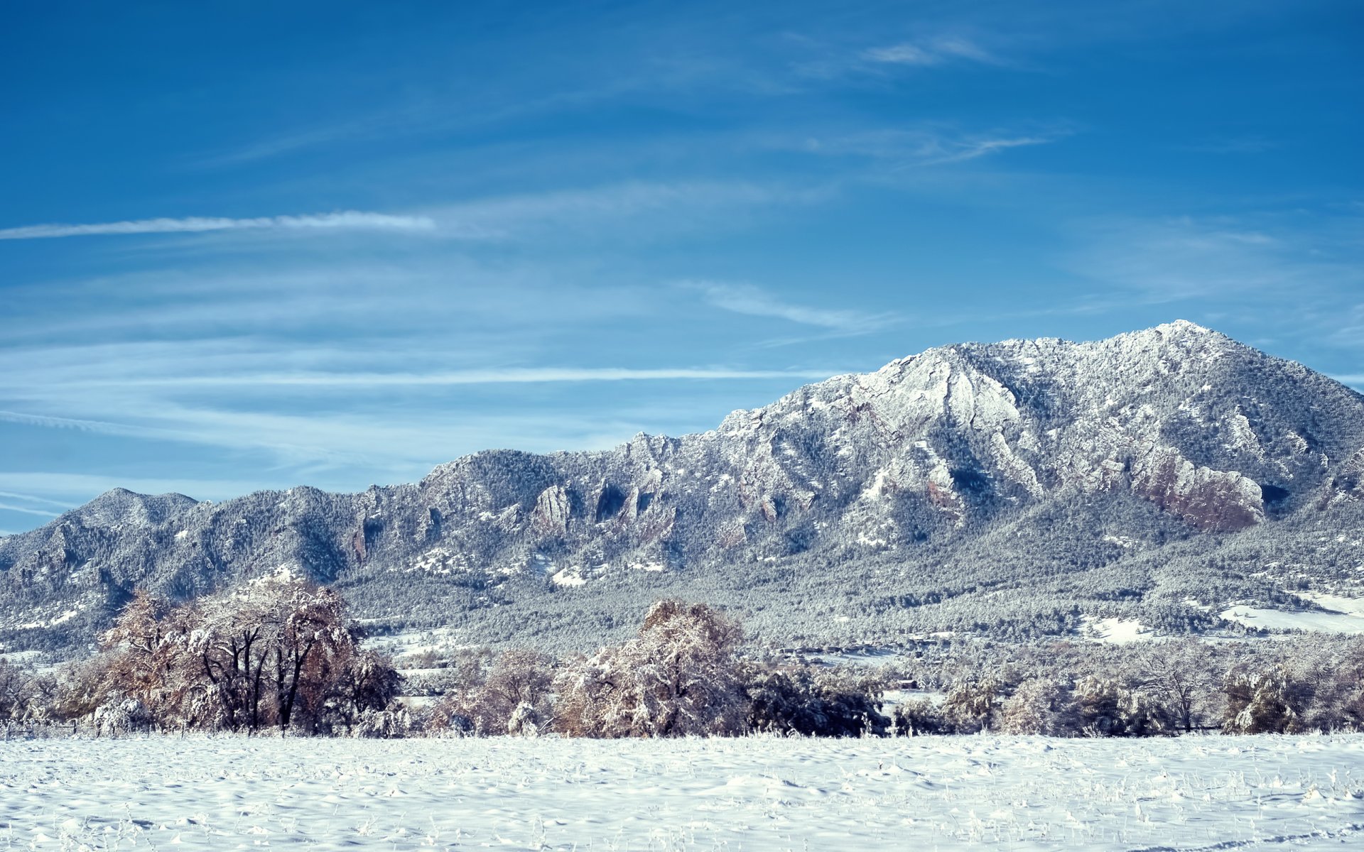 colorado montañas nieve árboles