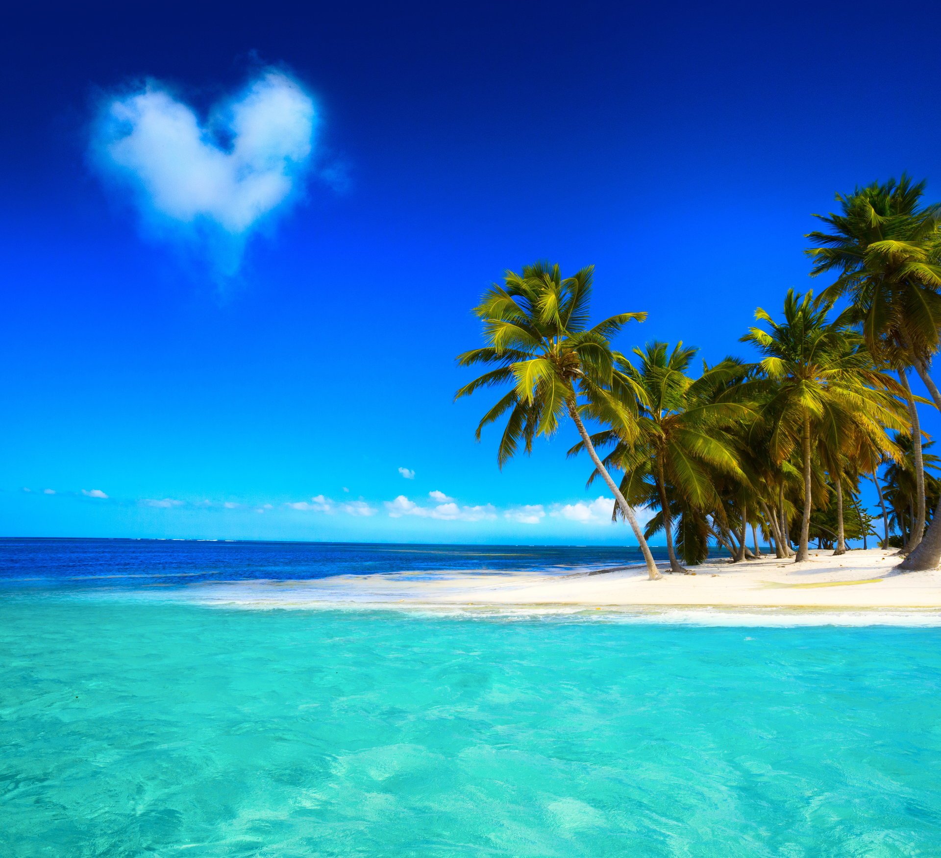 tropical paradis plage côte mer bleu émeraude océan palm été sable loisirs nuage tropiques soleil île rivage