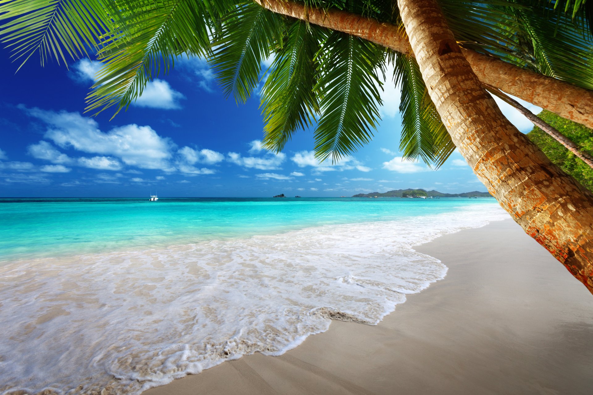 tropical paradis plage côte mer bleu émeraude océan palm été sable loisirs tropiques soleil île côte palmiers