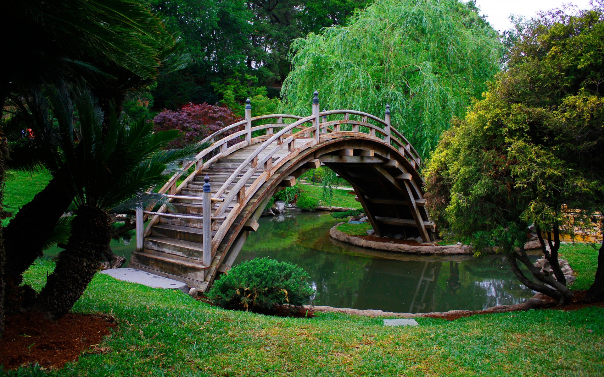 parc arbres pont eau herbe