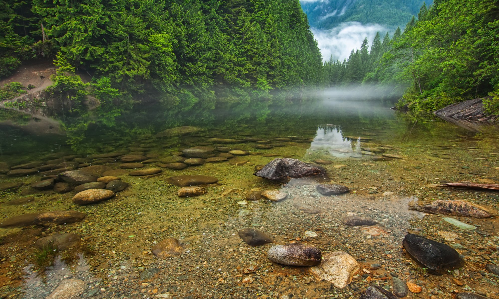 british columbia canada mountain forest tree river lake stones fog