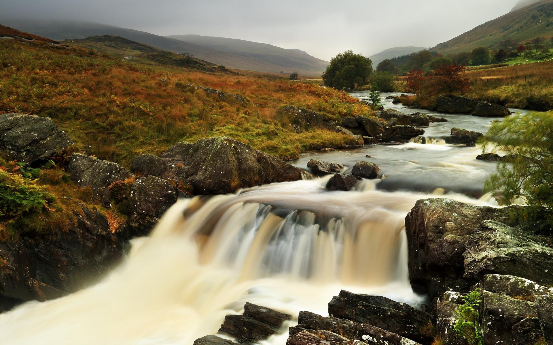 río corriente piedras colinas hierba otoño