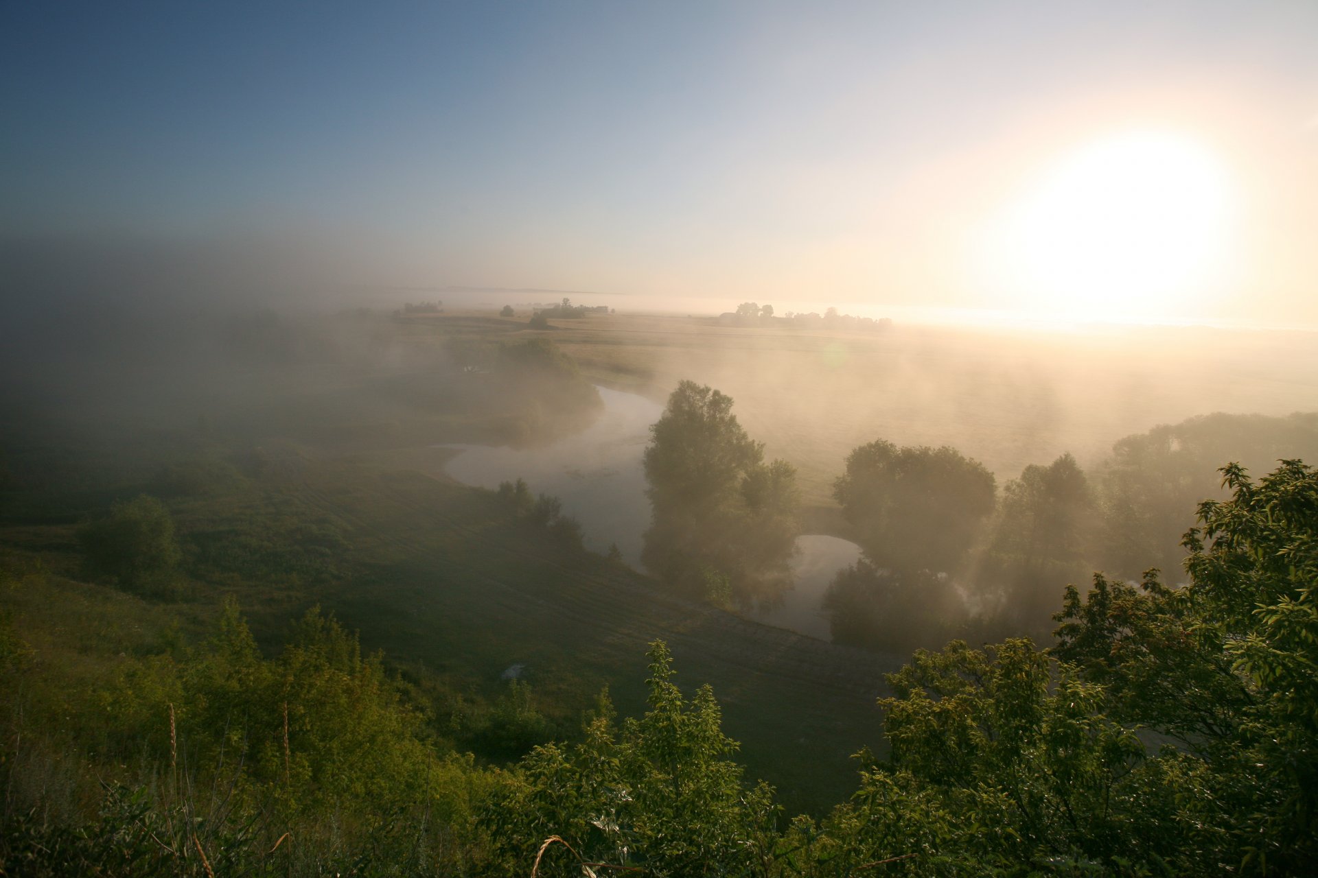 morgen nebel wiese fluss sommer