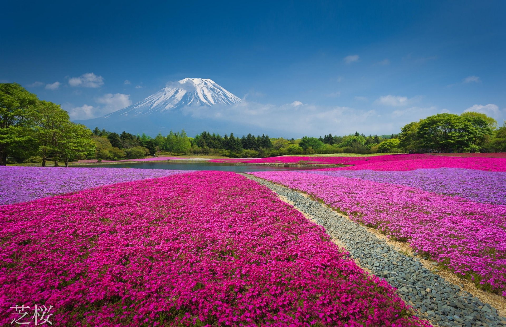 natura montagna vulcano cina fiori aiuola lago foresta parco