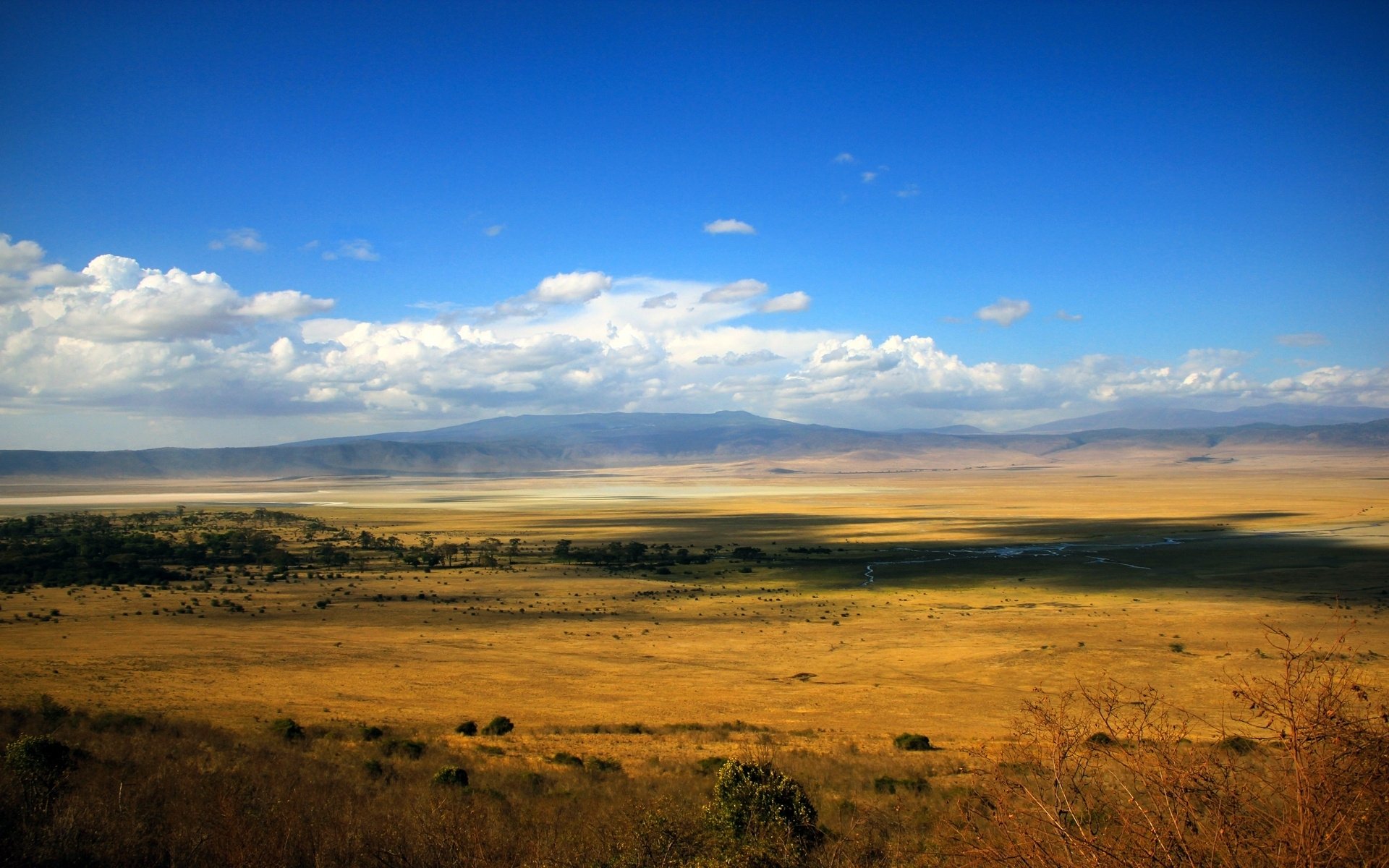 savanne ferne weite weite feld steppe fluss sträucher wolken himmel