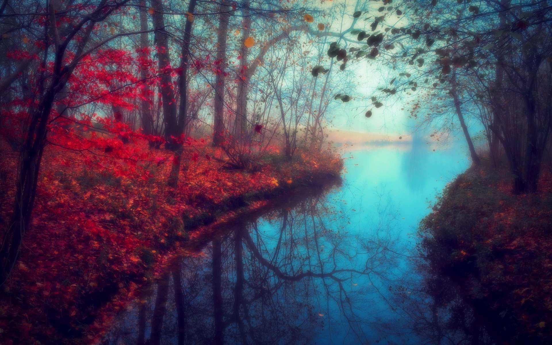 river autumn nature