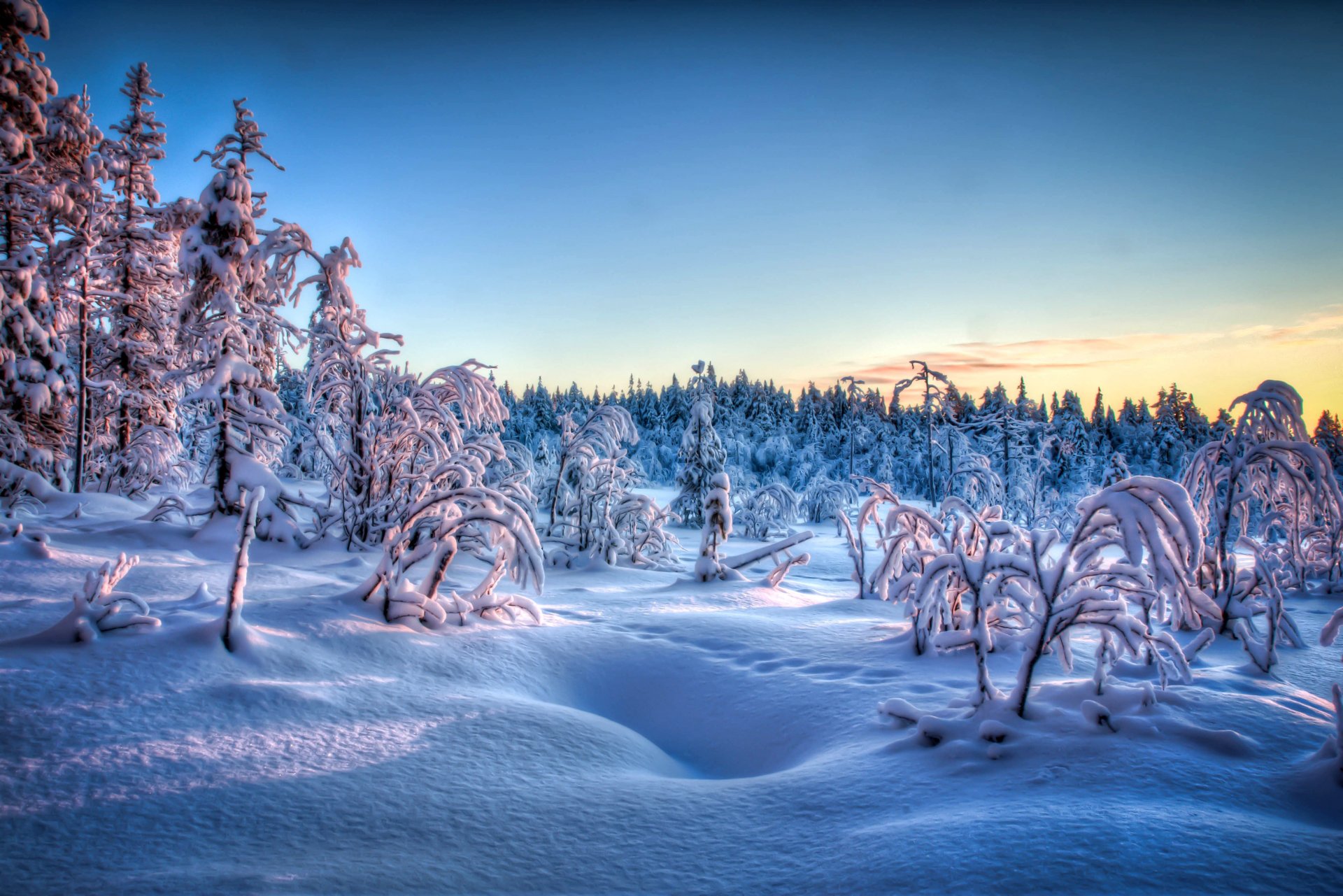 abend sonnenuntergang schnee spuren winter bäume frost