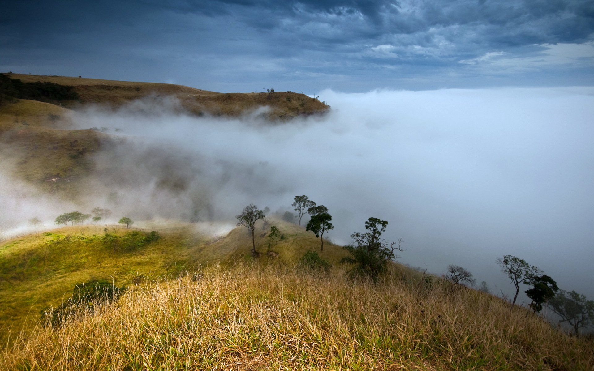 berge nebel natur