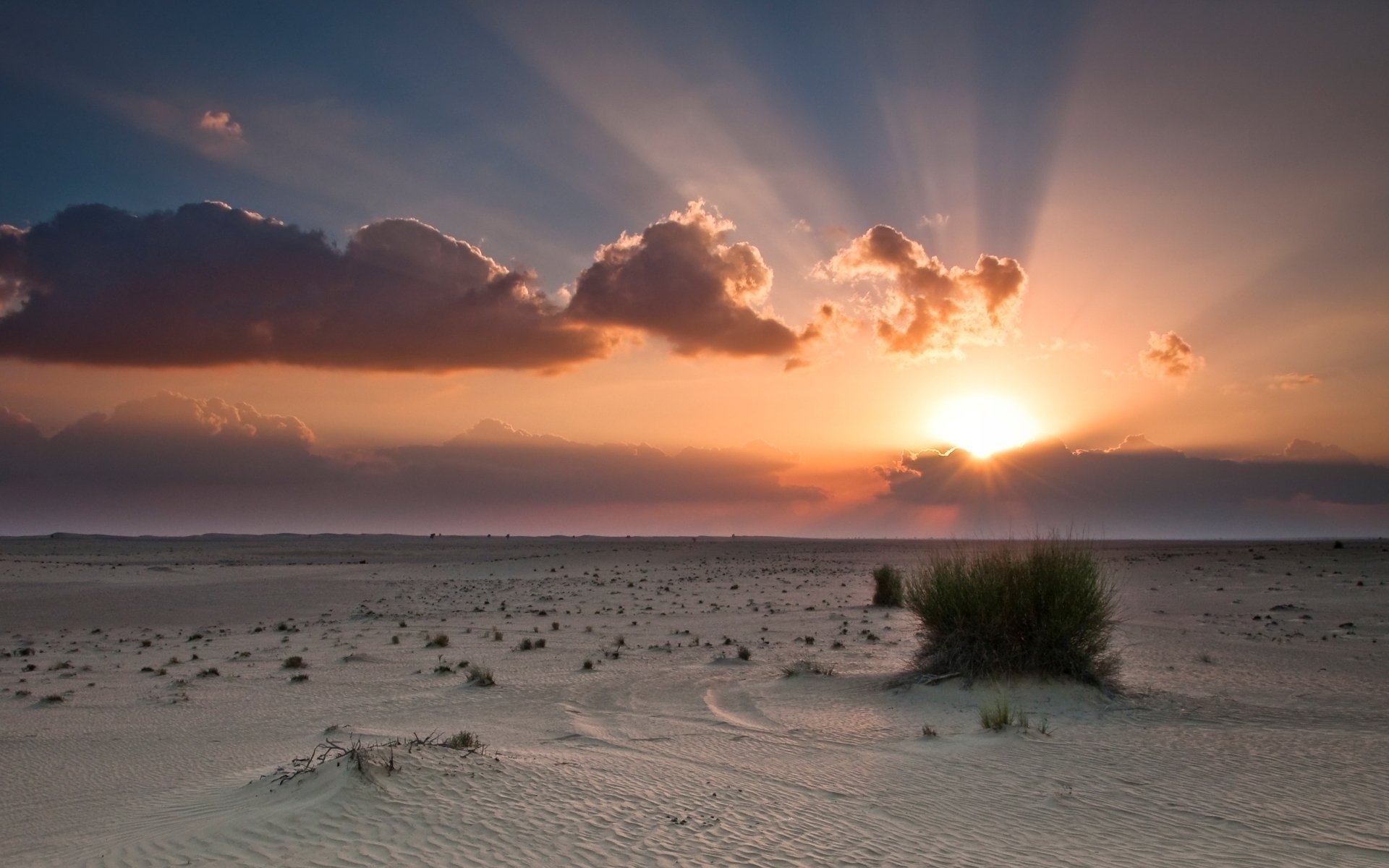 deserto tramonto sole cespuglio cielo carta da parati tramonto nuvole arancione blu raggi del sole sabbia