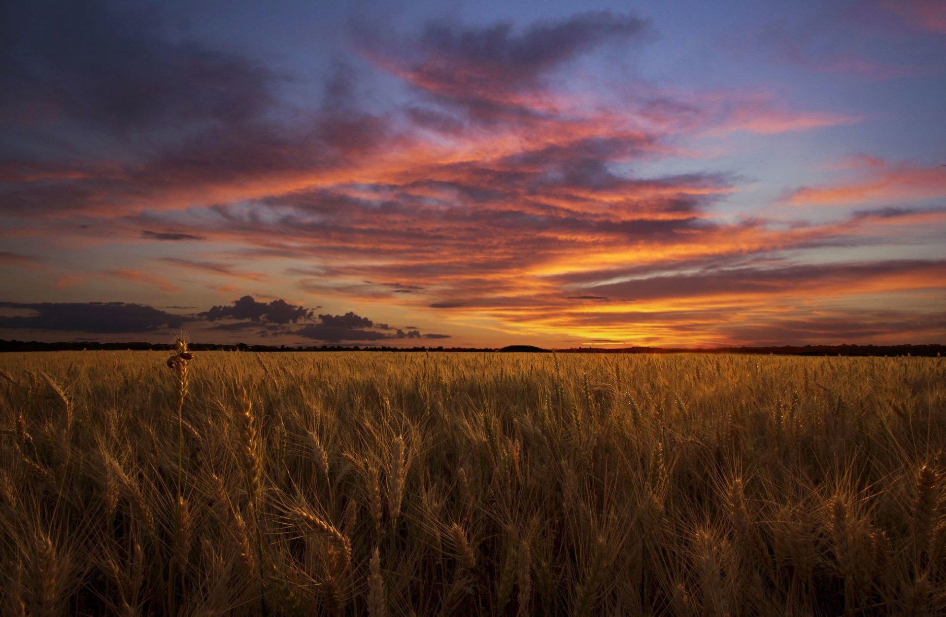 feld abend himmel wolken