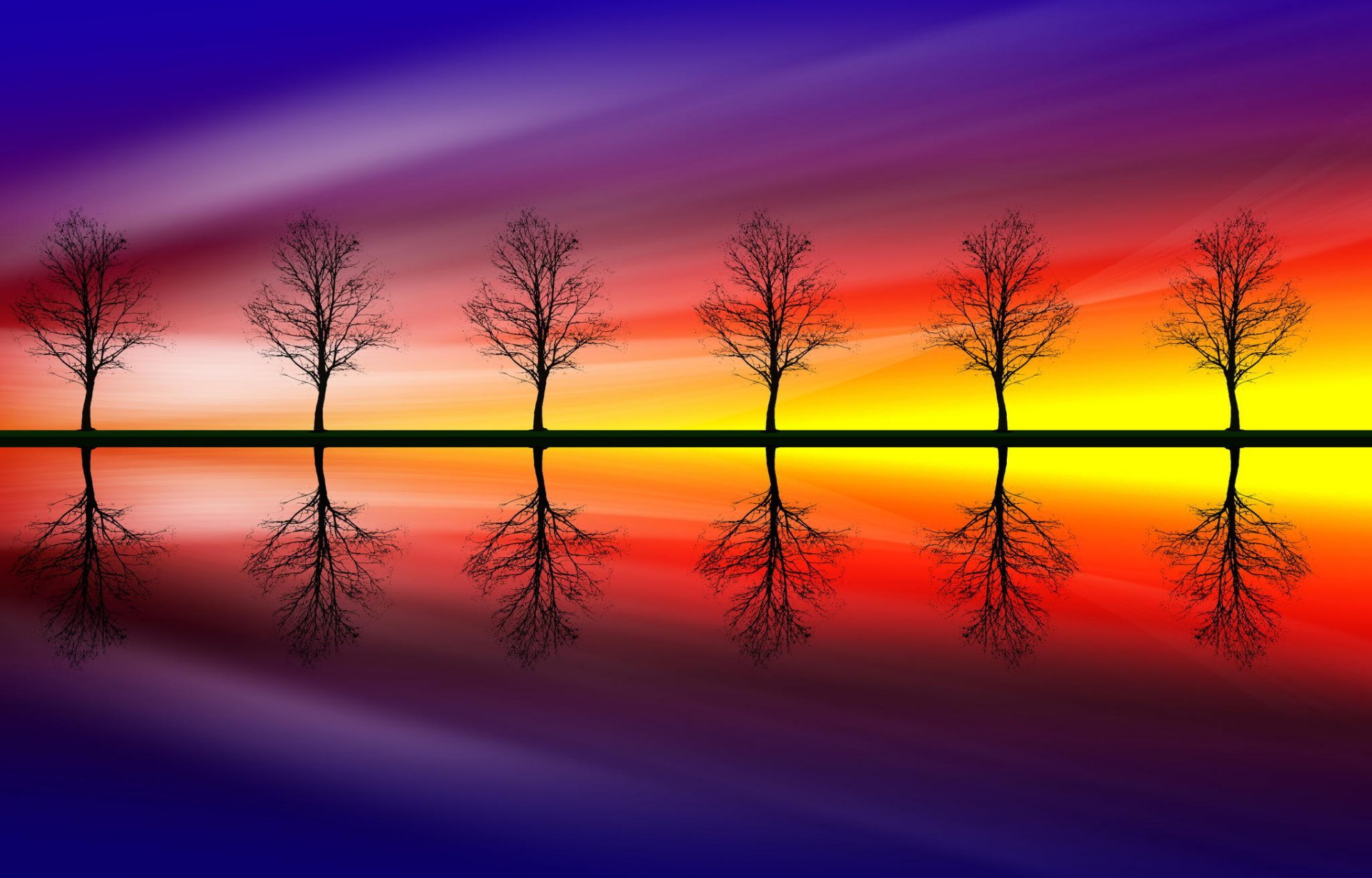 trees colors reflection