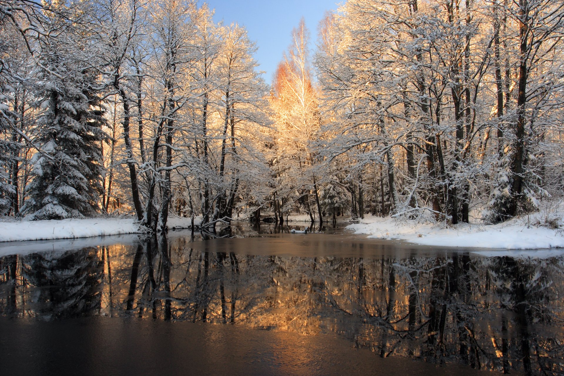 зима лес снег река