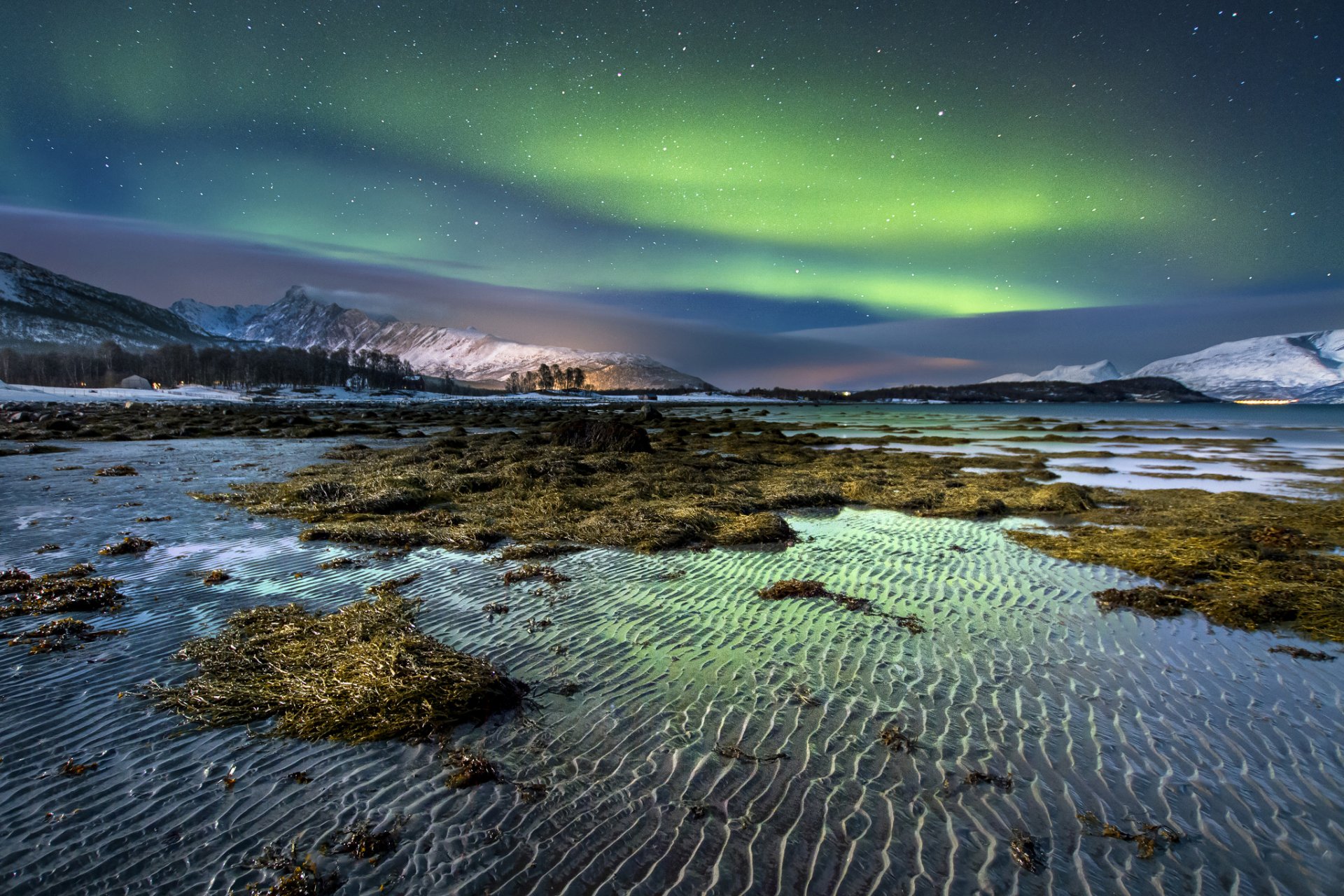 norwegen insel nacht winter schnee nordlichter himmel sterne berge algen wasser ufer sand wellen