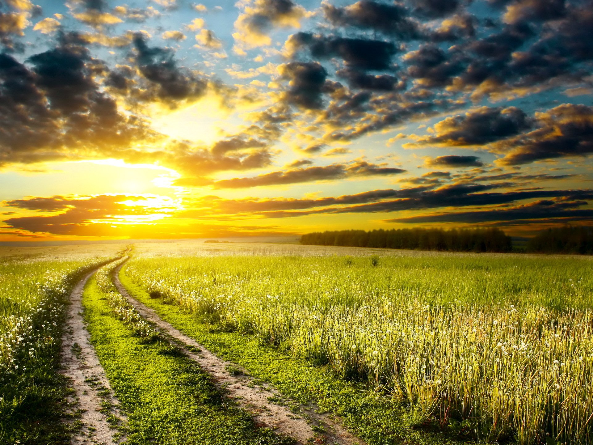 dämmerung sonnenuntergang wiese natur gras straße himmel wolken sonne foto