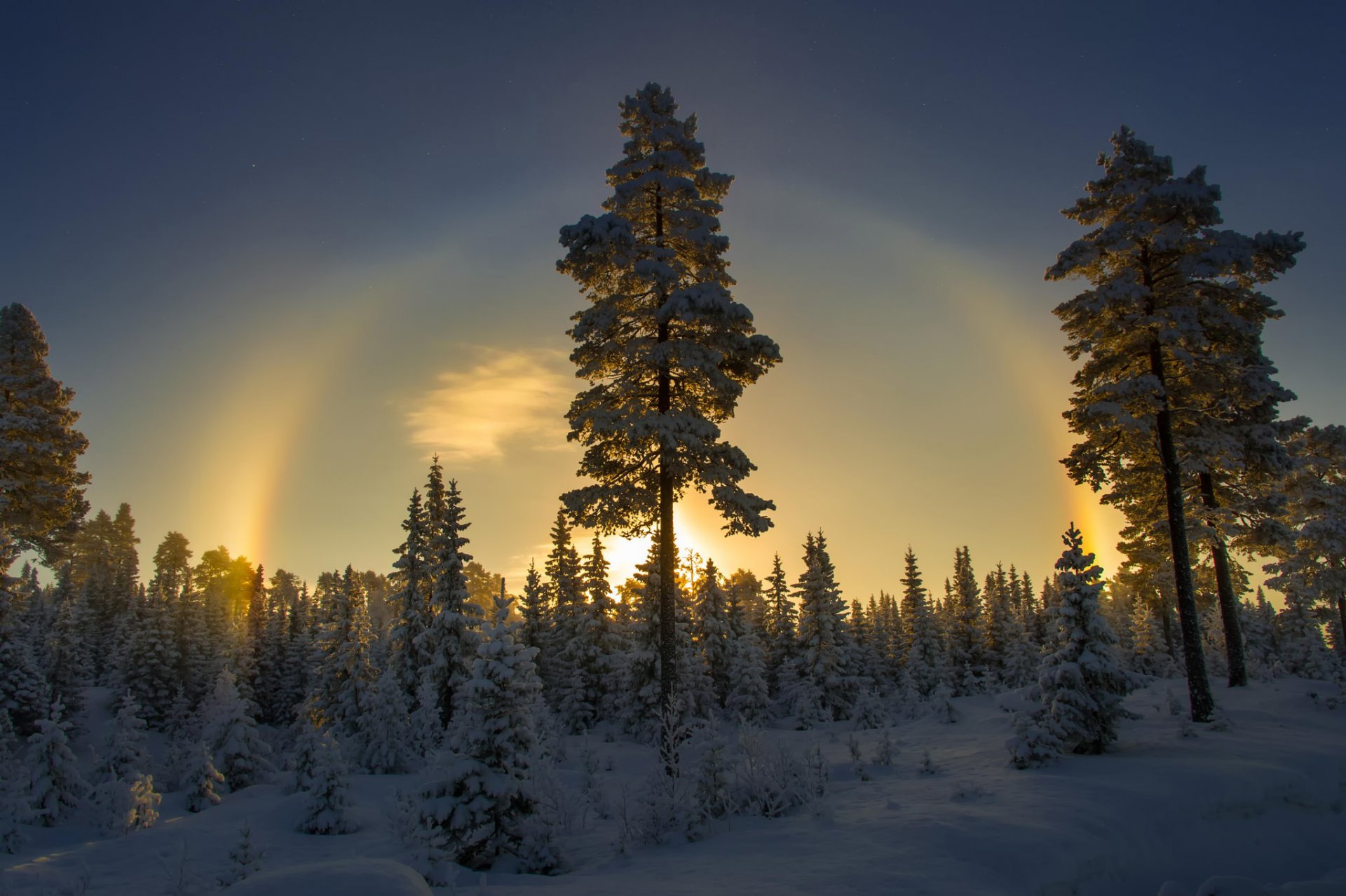 neige hiver norvège