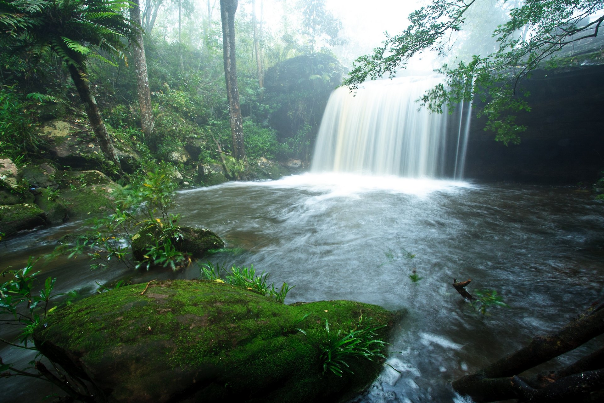 natur wasserfall wasser grün vegetation bäume blätter hintergrund tapete widescreen vollbild widescreen