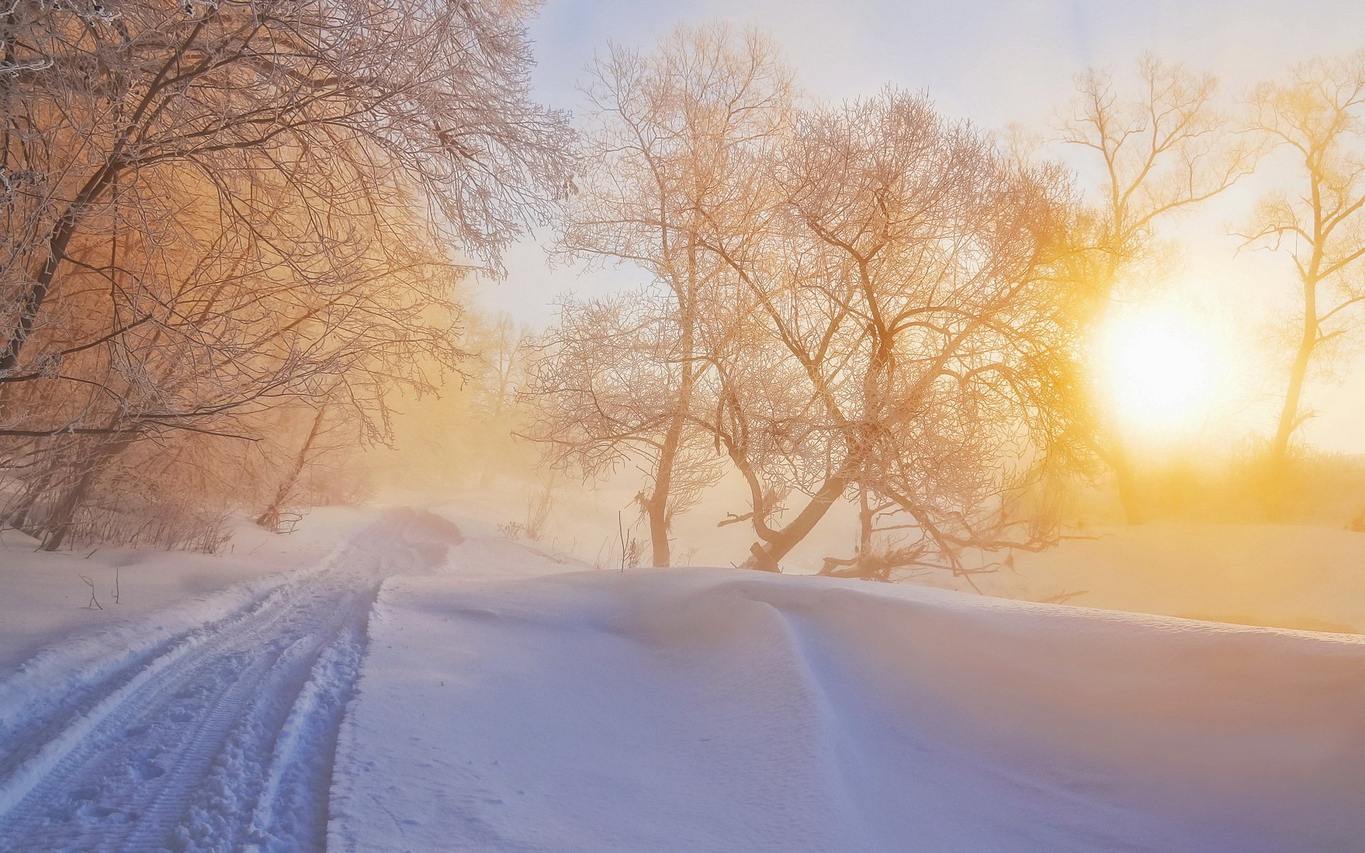 mattina inverno natura luce nebbia